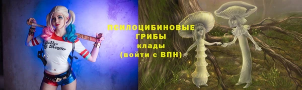 не бодяженный Дмитровск