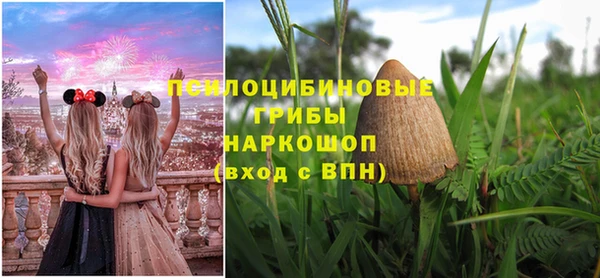 таблы Дмитриев