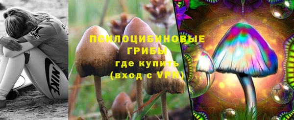 спиды Дмитров
