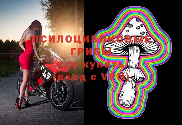 не бодяженный Дмитровск