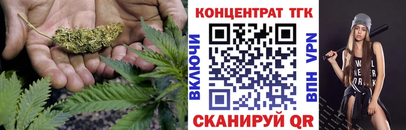 Купить где  Новосиль  ТГК концентрат 