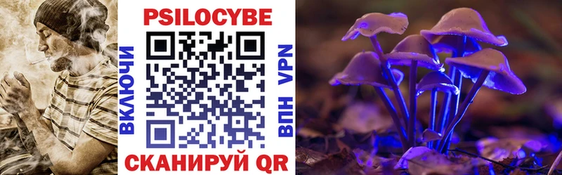 Купить закладки  Новосиль  Псилоцибиновые грибы Cubensis 
